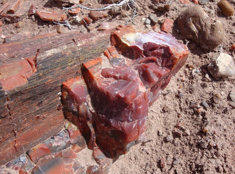 Petrified Forest National Park, USA